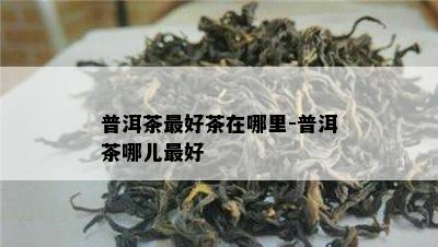 普洱茶更好茶在哪里-普洱茶哪儿更好