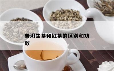 普洱生茶和红茶的区别和功效