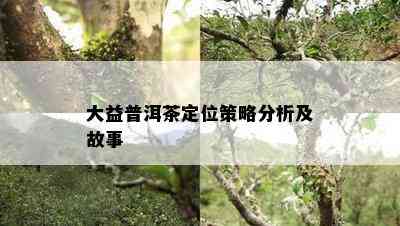 大益普洱茶定位策略分析及故事