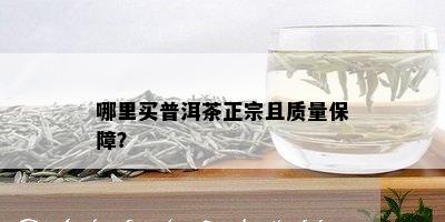 哪里买普洱茶正宗且质量保障？