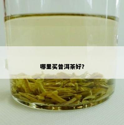 哪里买普洱茶好？