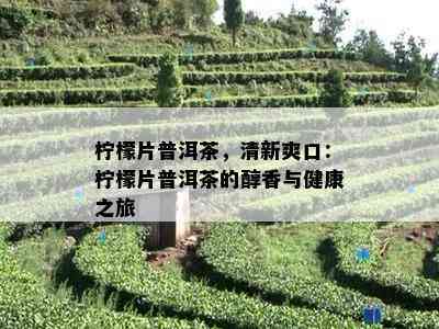 柠檬片普洱茶，清新爽口：柠檬片普洱茶的醇香与健康之旅