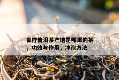 青柠普洱茶产地是哪里的茶，功效与作用，冲泡方法