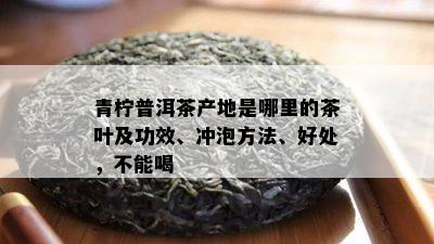 青柠普洱茶产地是哪里的茶叶及功效、冲泡方法、好处，不能喝