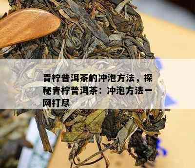 青柠普洱茶的冲泡方法，探秘青柠普洱茶：冲泡方法一网打尽