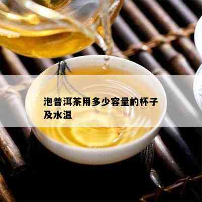 泡普洱茶用多少容量的杯子及水温