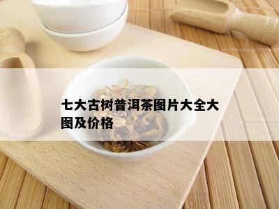 七大古树普洱茶图片大全大图及价格