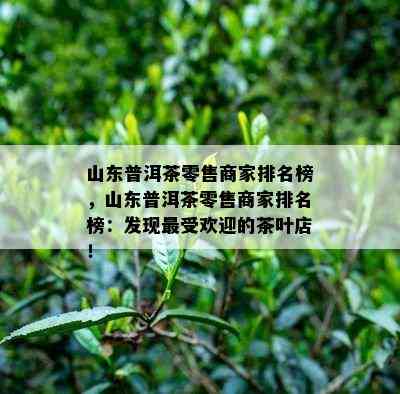 山东普洱茶零售商家排名榜，山东普洱茶零售商家排名榜：发现更受欢迎的茶叶店！