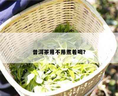 普洱茶用不用煮着喝？