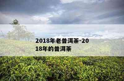 2018年老普洱茶-2018年的普洱茶