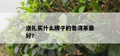 送礼买什么牌子的普洱茶更好？