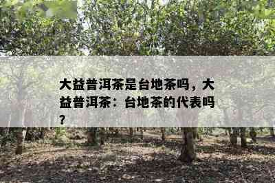 大益普洱茶是台地茶吗，大益普洱茶：台地茶的代表吗？