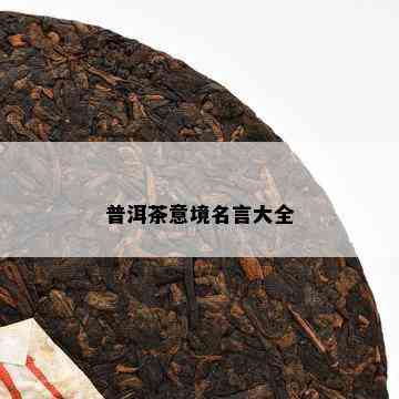 普洱茶意境名言大全