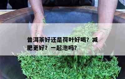 普洱茶好还是荷叶好喝？减肥更好？一起泡吗？