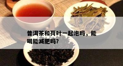 普洱茶和荷叶一起泡吗，能喝能减肥吗？