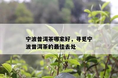 宁波普洱茶哪家好，寻觅宁波普洱茶的更佳去处