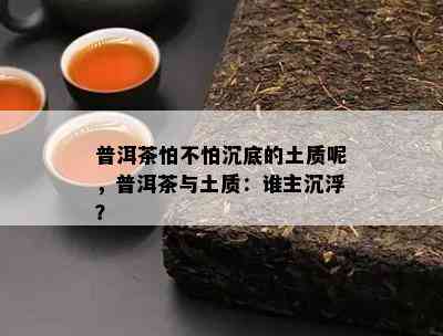 普洱茶怕不怕沉底的土质呢，普洱茶与土质：谁主沉浮？