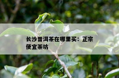 长沙普洱茶在哪里买：正宗便宜茶坊