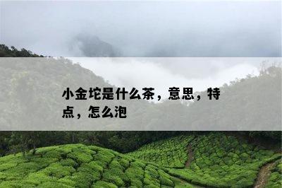 小金坨是什么茶，意思，特点，怎么泡