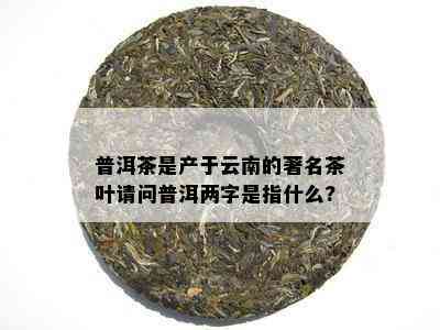 普洱茶是产于云南的著名茶叶请问普洱两字是指什么?