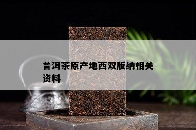 普洱茶原产地西双版纳相关资料