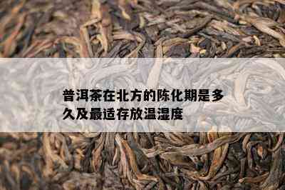 普洱茶在北方的陈化期是多久及最适存放温湿度