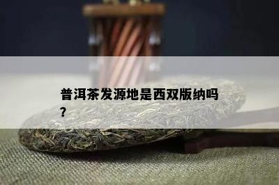 普洱茶发源地是西双版纳吗？