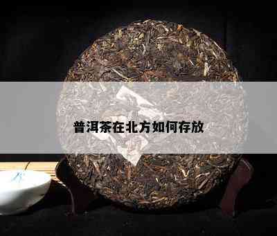 普洱茶在北方如何存放