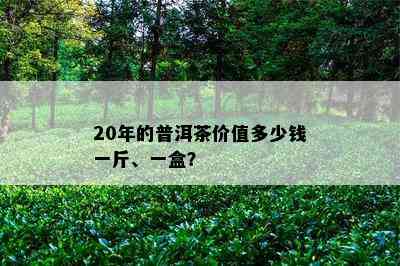 20年的普洱茶价值多少钱一斤、一盒？