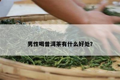 男性喝普洱茶有什么好处？