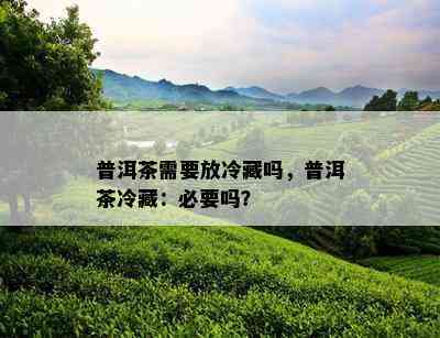 普洱茶需要放冷藏吗，普洱茶冷藏：必要吗？