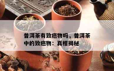 普洱茶有致癌物吗，普洱茶中的致癌物：真相揭秘