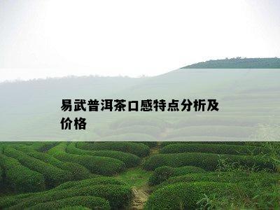 易武普洱茶口感特点分析及价格