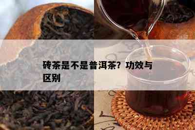 砖茶是不是普洱茶？功效与区别