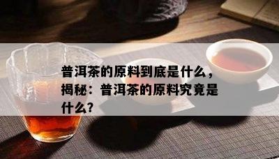 普洱茶的原料到底是什么，揭秘：普洱茶的原料究竟是什么？