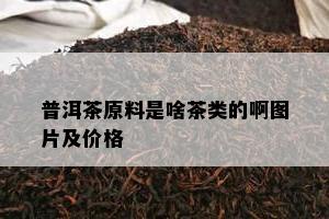 普洱茶原料是啥茶类的啊图片及价格