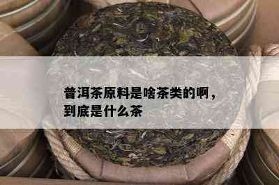 普洱茶原料是啥茶类的啊，到底是什么茶