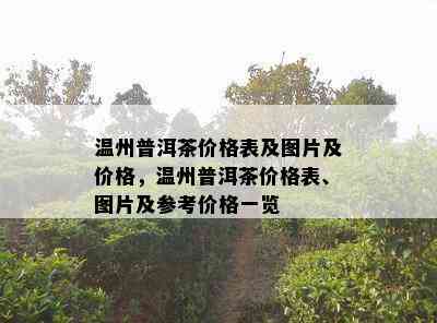 温州普洱茶价格表及图片及价格，温州普洱茶价格表、图片及参考价格一览