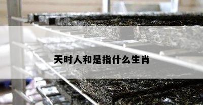 天时人和是指什么生肖