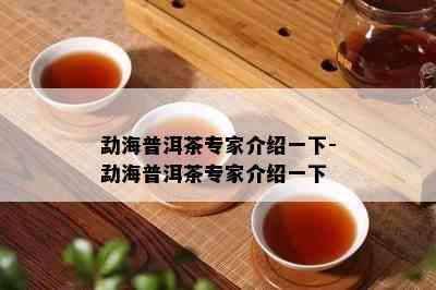 勐海普洱茶专家介绍一下-勐海普洱茶专家介绍一下