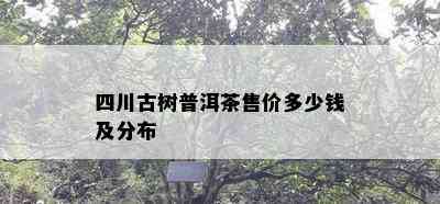 四川古树普洱茶售价多少钱及分布