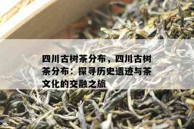 四川古树茶分布，四川古树茶分布：探寻历史遗迹与茶文化的交融之旅