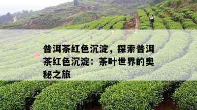 普洱茶红色沉淀，探索普洱茶红色沉淀：茶叶世界的奥秘之旅