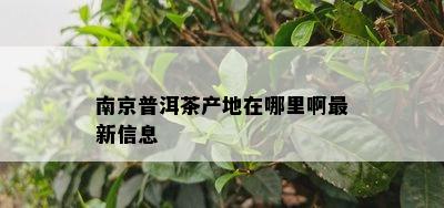 南京普洱茶产地在哪里啊最新信息