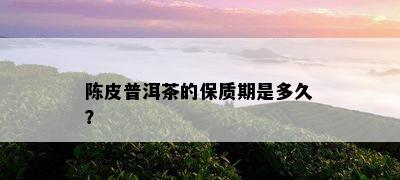 陈皮普洱茶的保质期是多久？