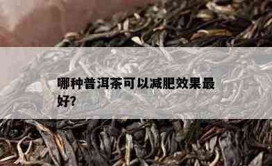 哪种普洱茶可以减肥效果更好？