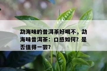 勐海味的普洱茶好喝不，勐海味普洱茶：口感如何？是否值得一尝？