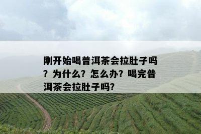 刚开始喝普洱茶会拉肚子吗？为什么？怎么办？喝完普洱茶会拉肚子吗？