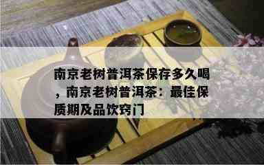 南京老树普洱茶保存多久喝，南京老树普洱茶：更佳保质期及品饮窍门