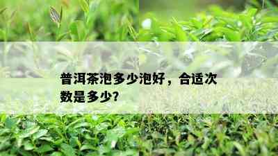 普洱茶泡多少泡好，合适次数是多少？